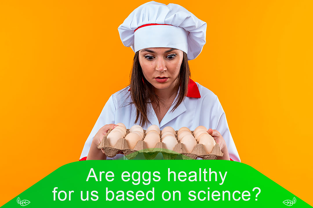 Are eggs healthy for us based on science