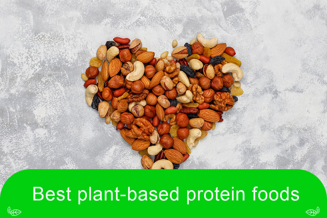 Best plant-based protein foods