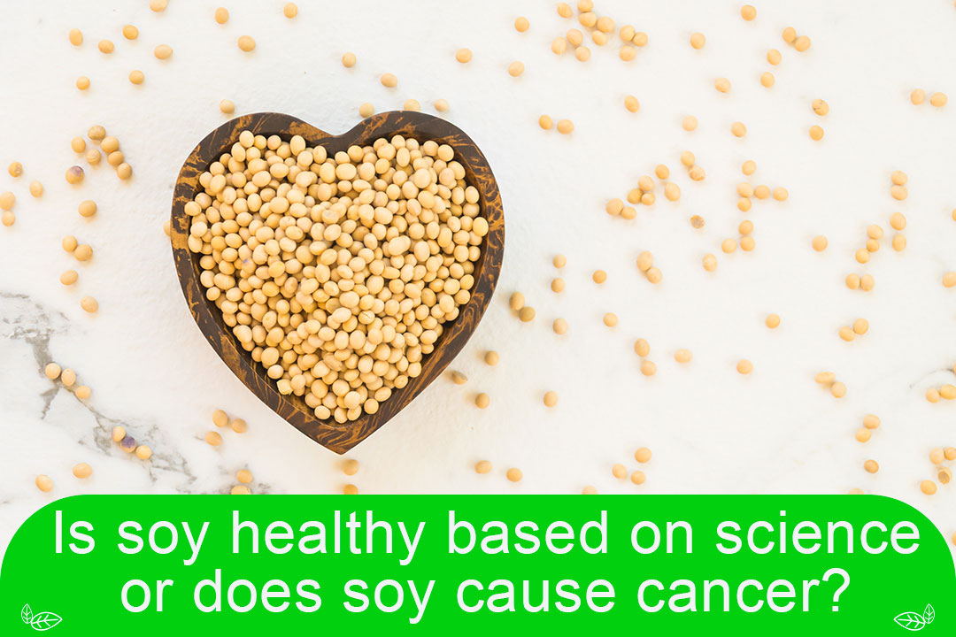 Is soy healthy based on science or does it cause cancer?