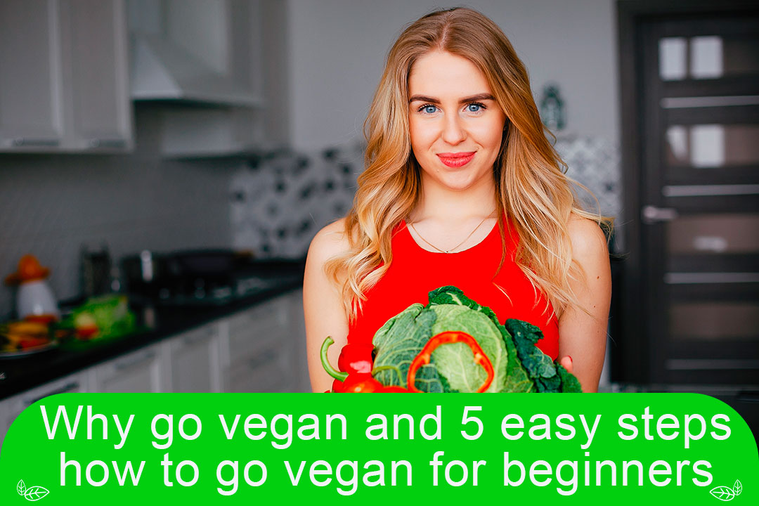 Why go vegan and 5 easy steps how to go vegan for beginners